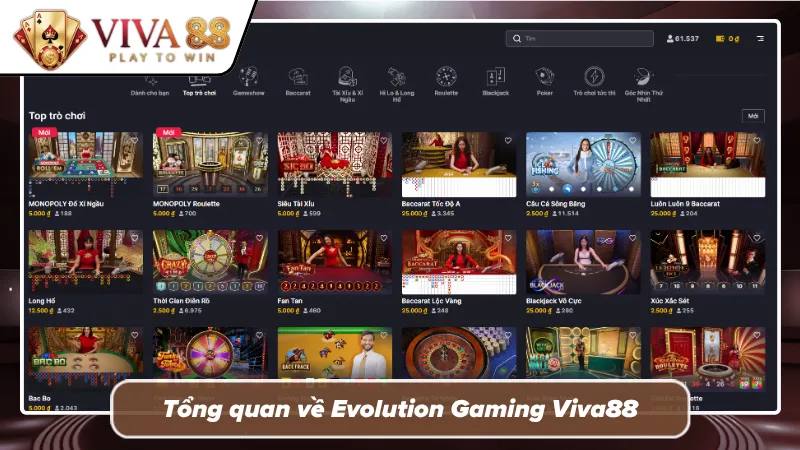 Hệ thống bàn sòng bài trực tiếp góc quay sắc nét HD
